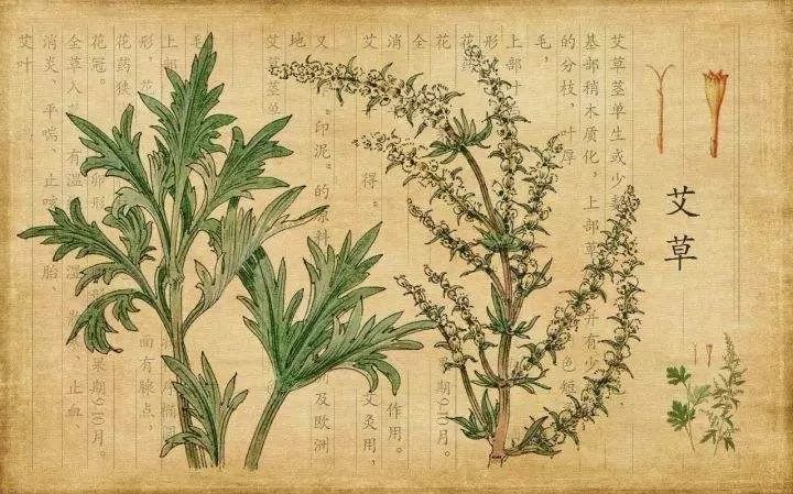 艾草皂,以艾入皂,匠心打造 借天力排热毒,湿毒的好物!