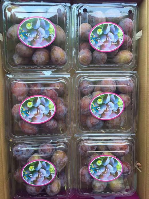【新疆甜蜜水果】新疆法兰西西梅,新鲜水果,高品质,甜度好,南宁快环内