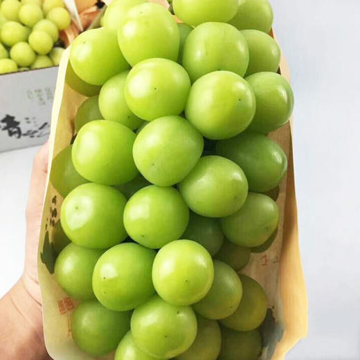 阳光玫瑰葡萄a级约750g