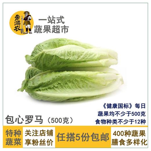 5折】包心罗马生菜500g嫩罗马罗纹生菜
