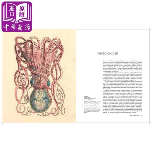 预售中商原版纸上动物园500年艺术中的动物附大英图书馆大量动物插图