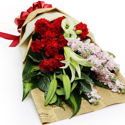 鲜花速递同城33朵康乃馨花束送长辈生日北京南京上海珠海广州杭州