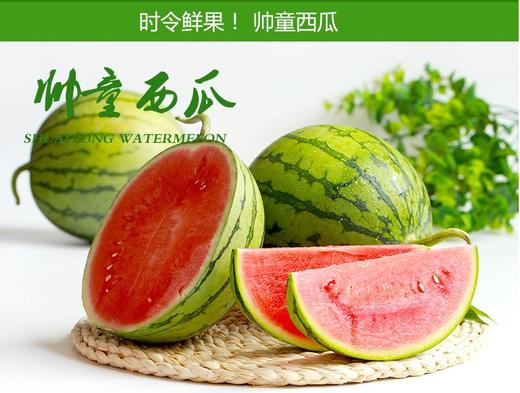 江西帅童小西瓜可切盘
