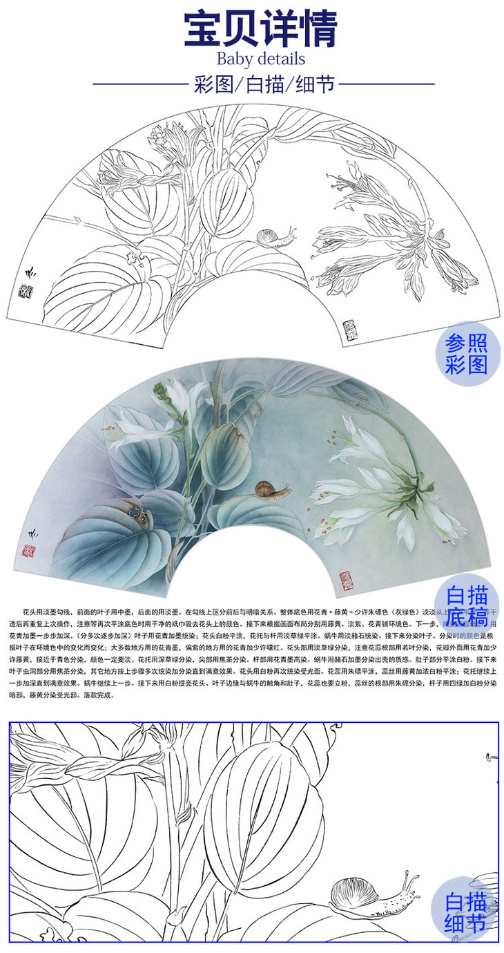 杨冬冬工笔花鸟白描底稿玉簪花扇面小品有步骤图hd60