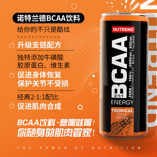 诺特兰德bcaa支链氨基酸运动健身功能饮料330ml/瓶