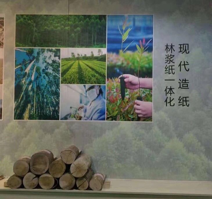 造纸文化亲子体验让小朋友了解纸的发展史并动手体验