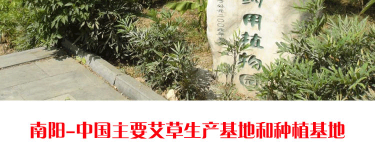 O1CN01gpcIW11fCItCxcVCZ_!!799043970.gif