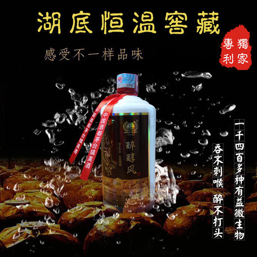 【醉醇风】贵州纯粮酒 醉醇封 53°酱香 500ml/瓶