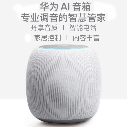 华为(huawei)智能音箱 小艺音箱 人工智能ai音箱 wifi蓝牙音响 丹拿