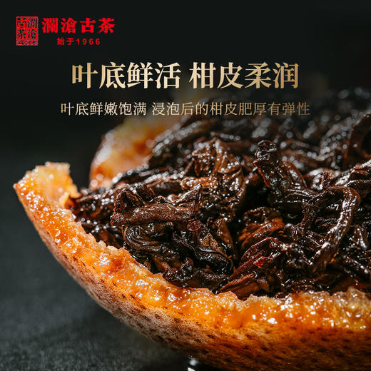 澜沧古茶2019年大红柑茶妈妈陈皮普洱熟茶250g