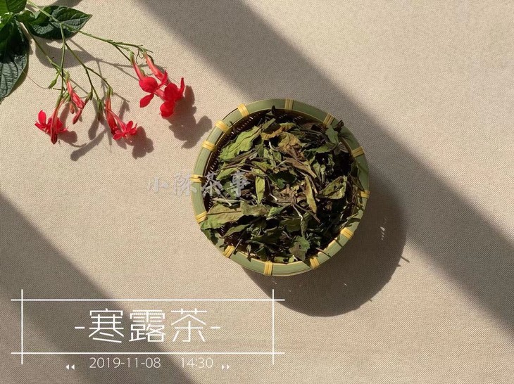 2019寒露茶