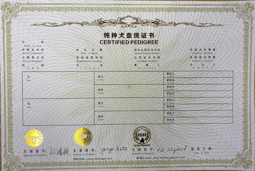 萌宠中国犬业俱乐部cbkc出生纸换发纯种犬血统证书