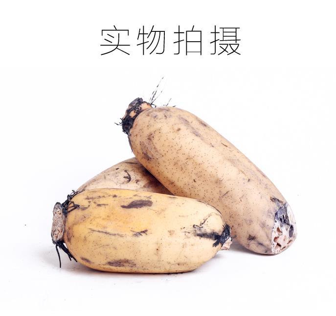 口感脆嫩现挖现发带泥莲藕5斤装当季新鲜蔬菜脆藕亚布力当季健康滋补