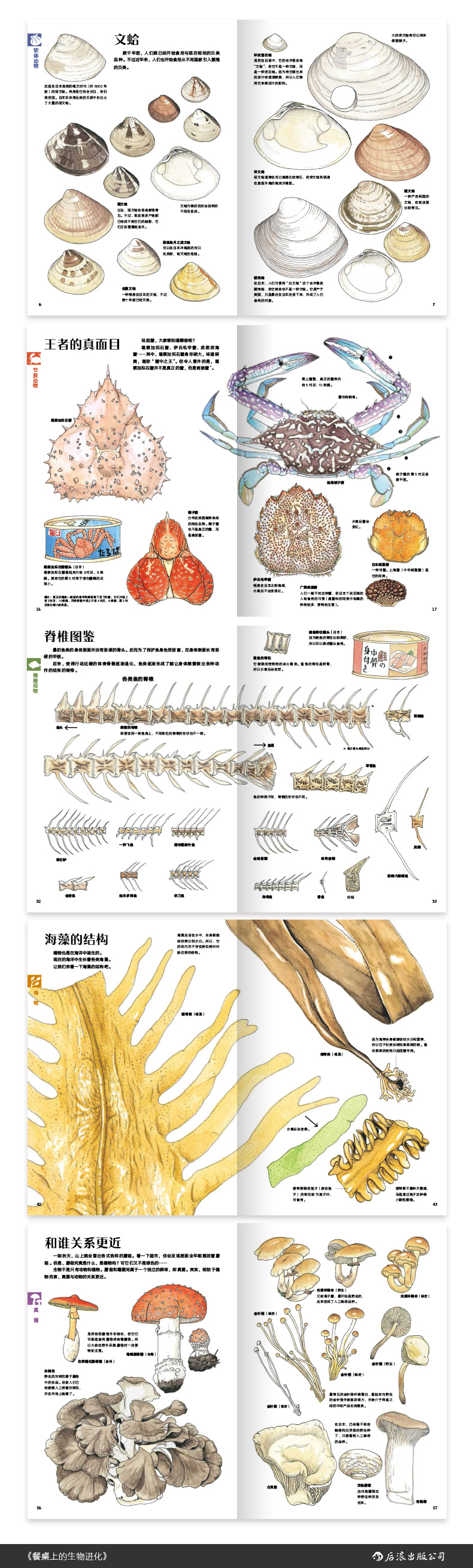 餐桌上的生物进化-790.jpg