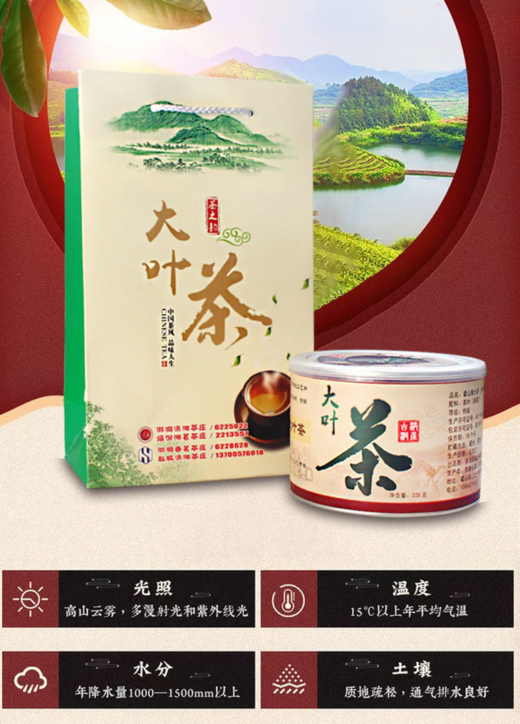 洪洞大叶茶礼盒装