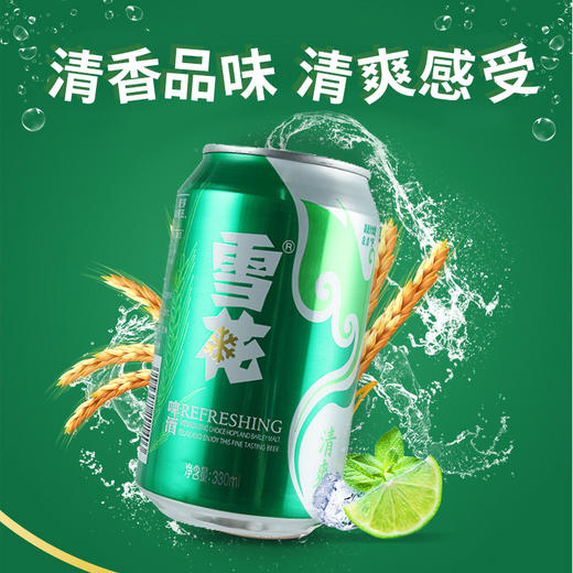 雪花啤酒清爽易拉罐330ml24罐整箱听装啤酒