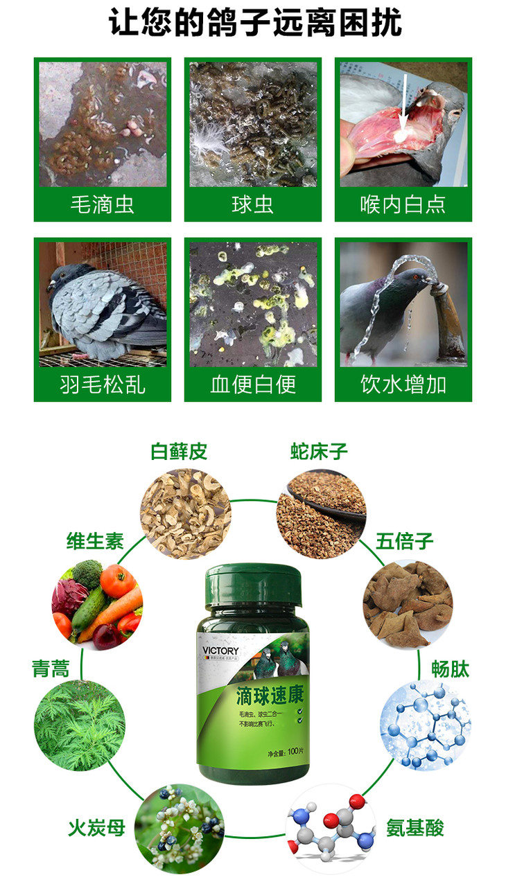 【滴球速康片】鸽毛滴虫球虫药,鸽口黄,驱虫药(汉诺威