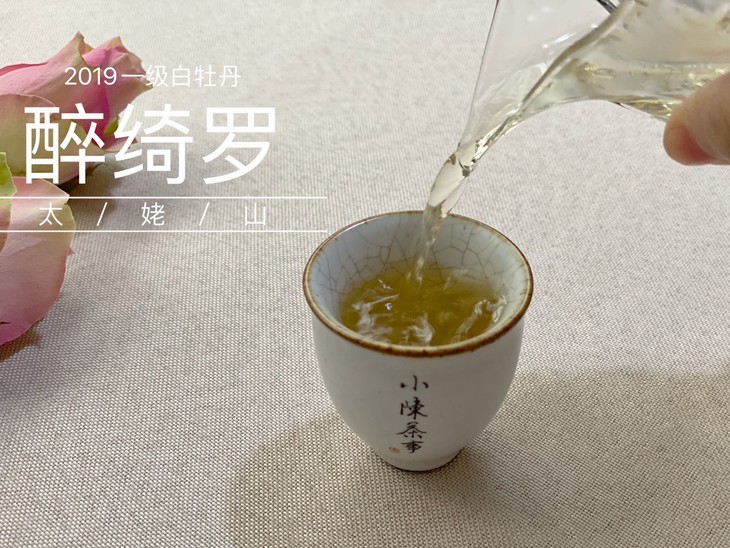 2019高山一级白牡丹《醉绮罗》 - 小陈茶事的茶空间