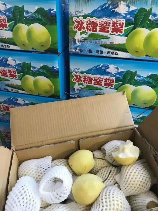 新疆冰糖蜜梨毛重135斤