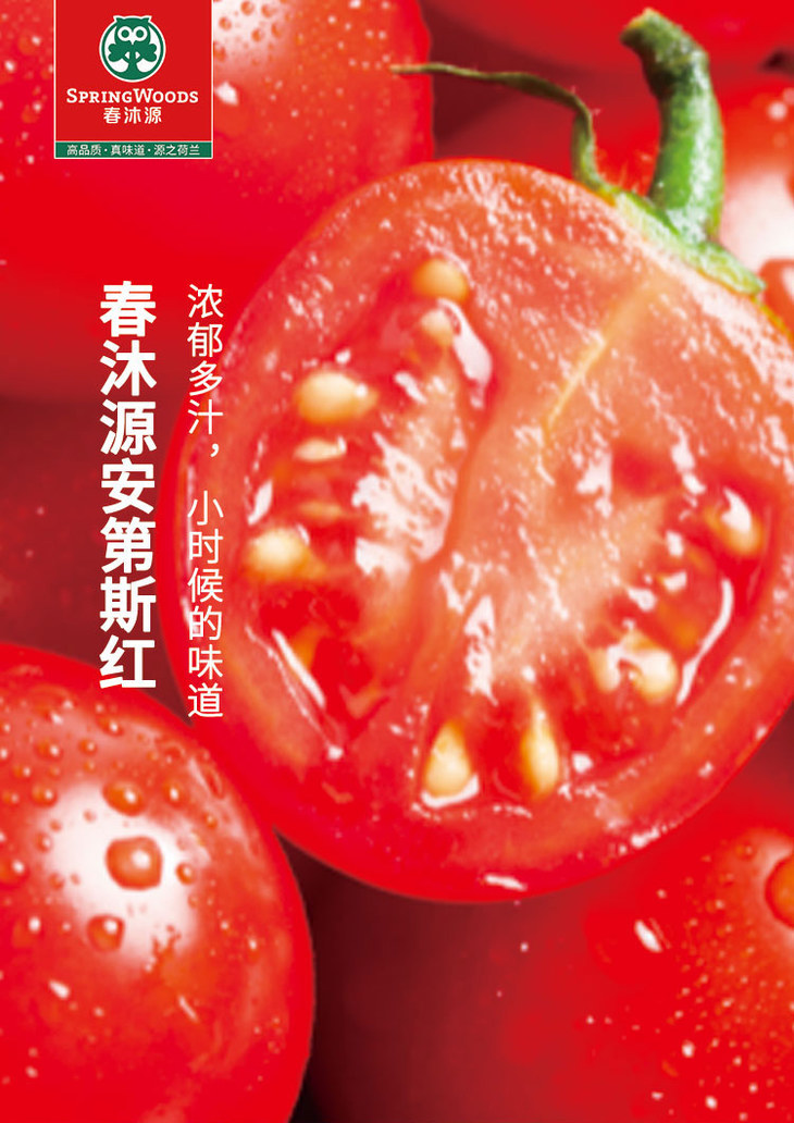 【春沐源科技农业】双色番茄彩虹组合900-1000g丨无土栽培樱桃番茄 金