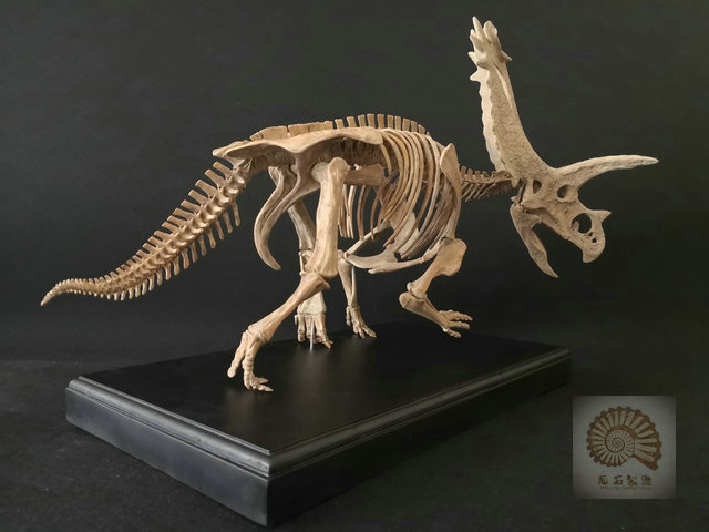 定制五角龙恐龙骨架树脂模型顺弯长079米菊石制造