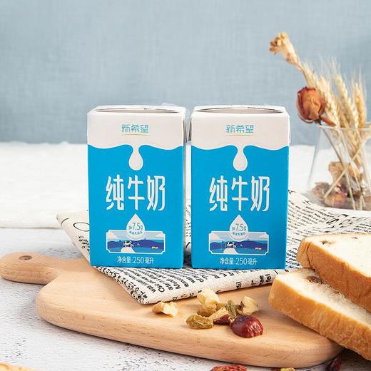 新希望盒装纯牛奶250ml*24盒