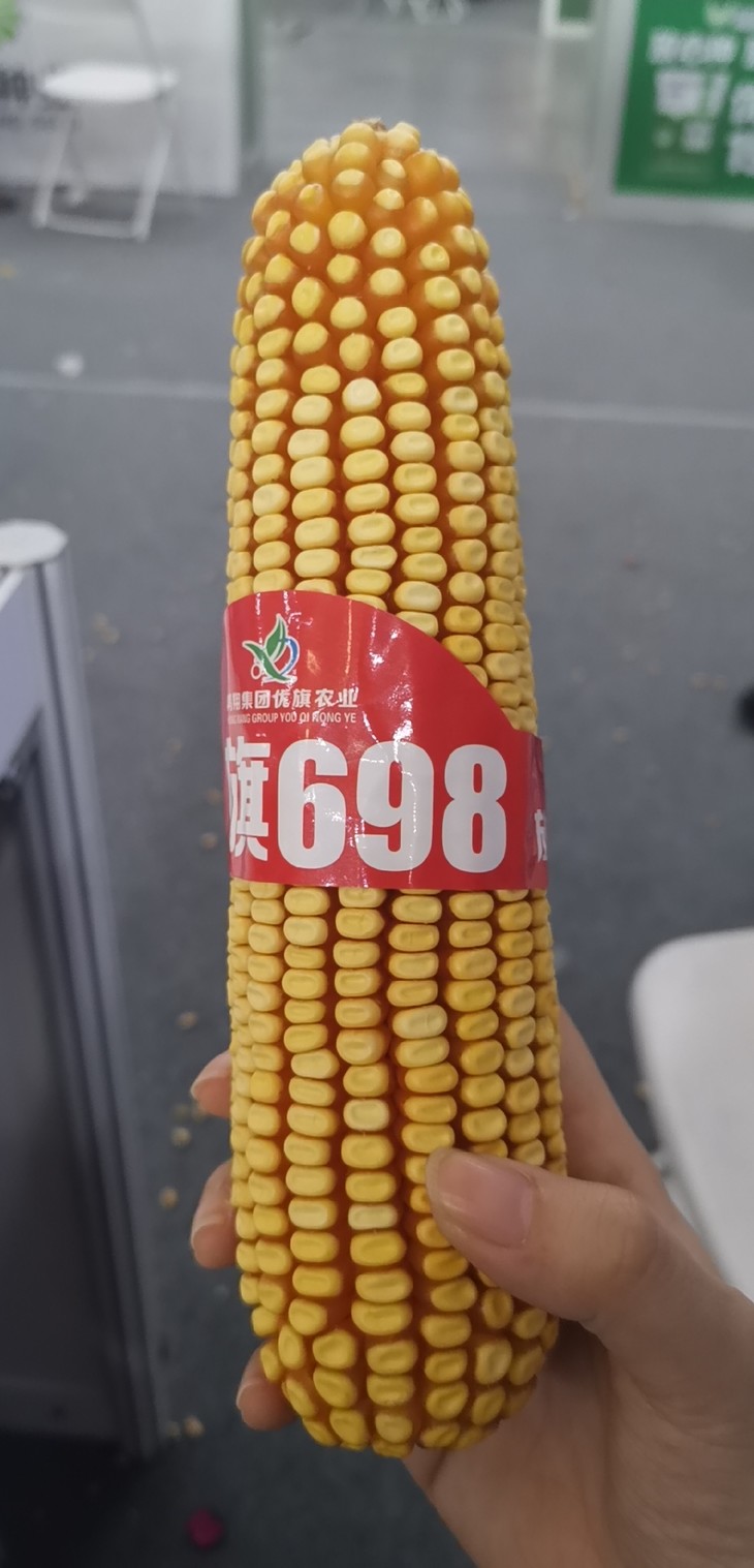 优旗698