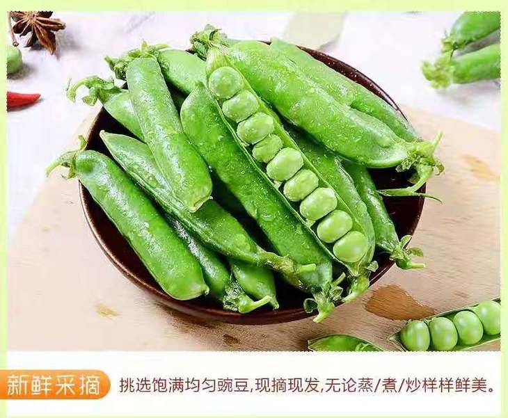 云南新鲜带壳甜豌豆青豆农家自种鲜豌豆荚青豌豆甜豆新鲜蔬菜5斤