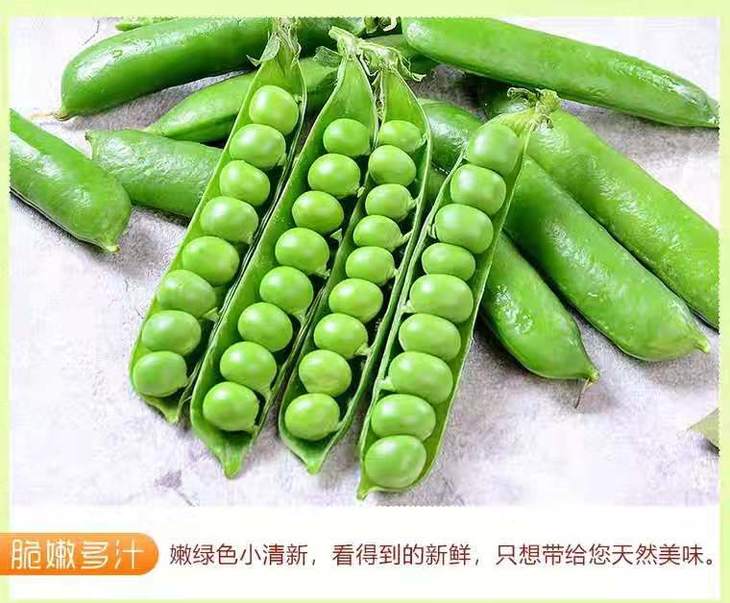 云南新鲜带壳甜豌豆青豆农家自种鲜豌豆荚青豌豆甜豆新鲜蔬菜5斤