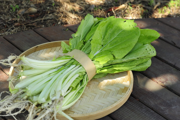 水白菜杆400g