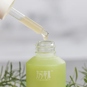 草木知识 | 读懂小夜瓶的小脾气——搓泥