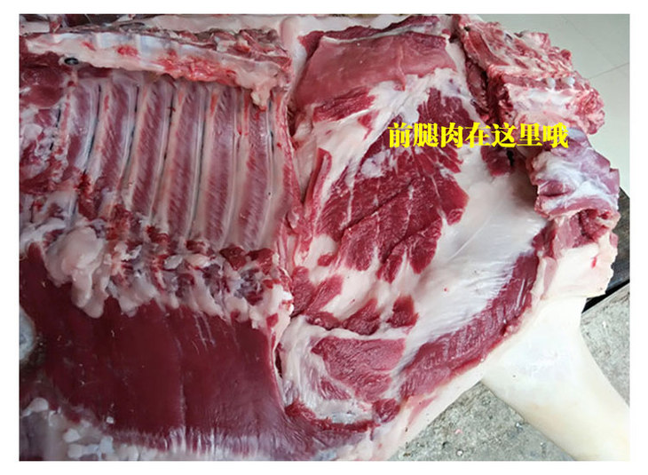 鲜猪前腿肉500g