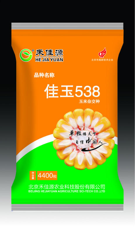 佳玉538