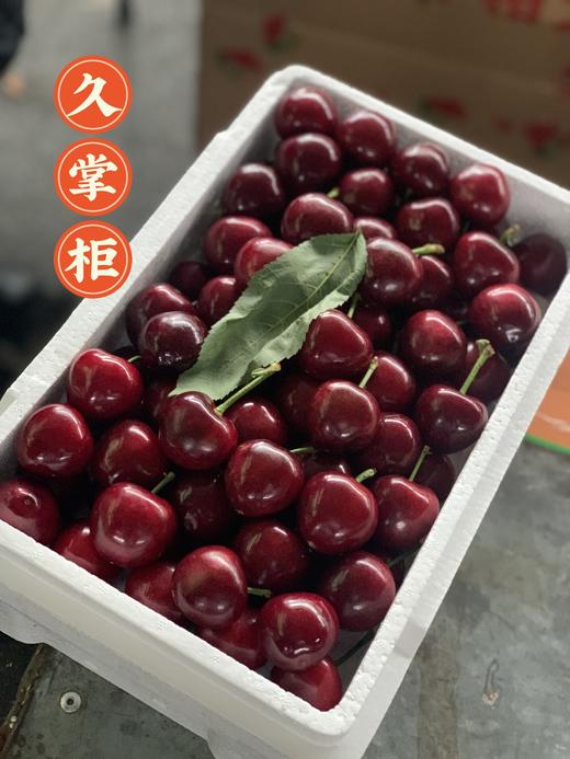【季节限定】大连美早5j大樱桃1箱 2.2斤左右