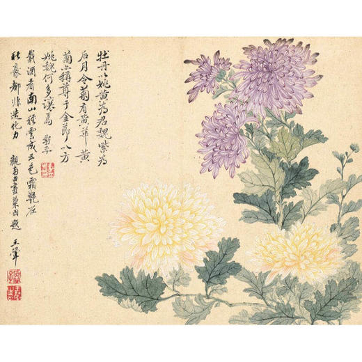 得艺作品《花卉十开之菊花图 恽寿平 水墨画国画框画现代装饰画