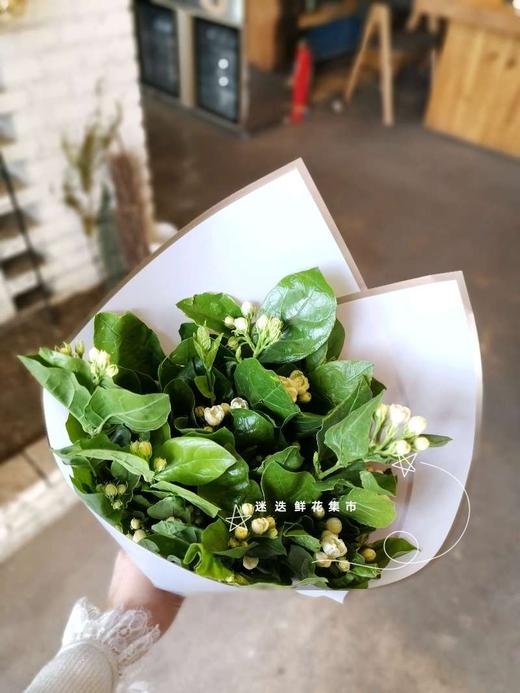 好一束美丽的茉莉花秒杀13832425号自取过期作废