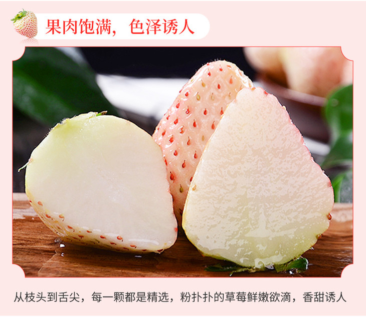 玉桃香白草莓 篮/1000g 果肉饱满/口感香甜 西比奇严选会员店