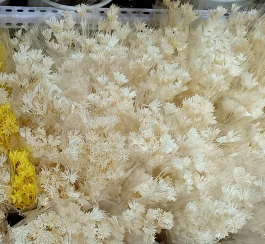 配花干花八角花