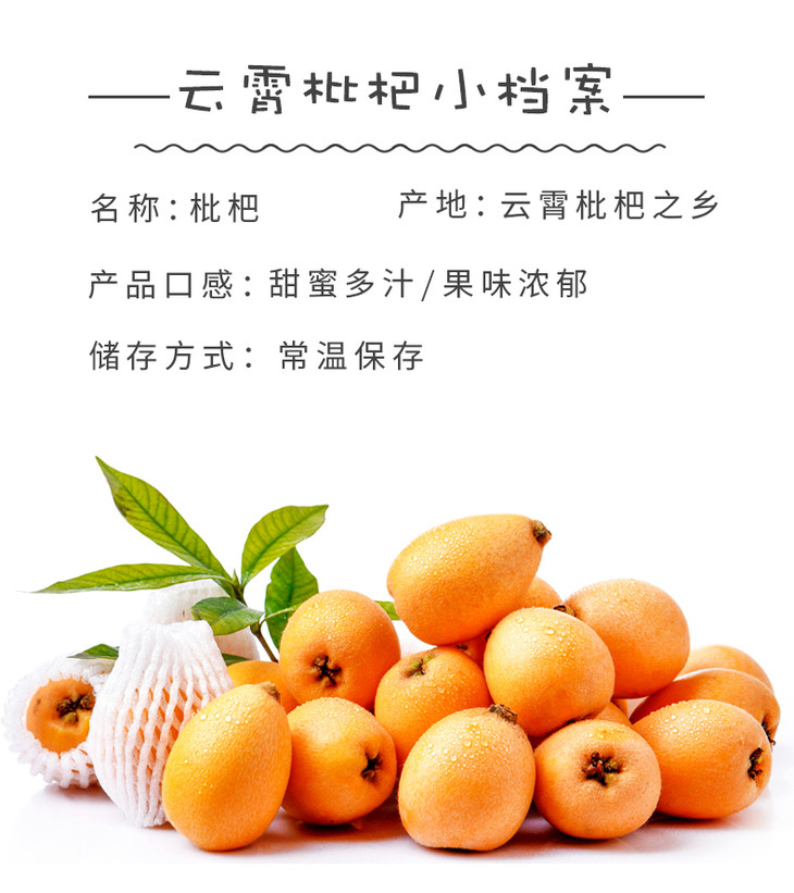 福建云霄枇杷(果香浓郁,清甜可口)