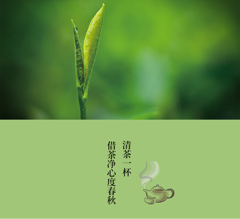 信阳毛尖百年品牌龙潭匠心新品红茶鲜茶包30g装