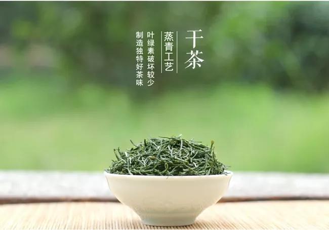 2020新茶 明前特级绿茶鲜嫩芽叶 恩施玉露1965感恩礼盒装250g