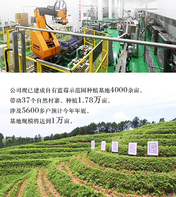 umeet悠蜜蓝莓复合果汁饮料235ml10瓶整箱装