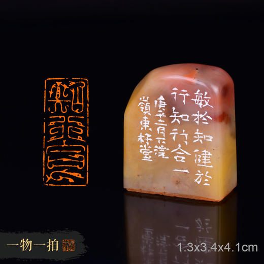 【知行合一 李桂培 鸟虫篆成品闲章篆刻书法书画引首印章lgp19