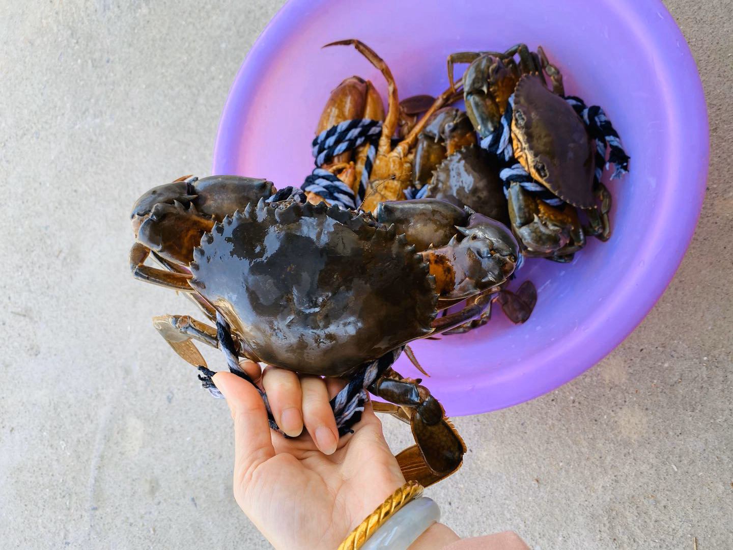 海鲜精选东山海鲜61野生菜鲟顺丰冷链到家肉质饱满喜欢蟹肉多多的约