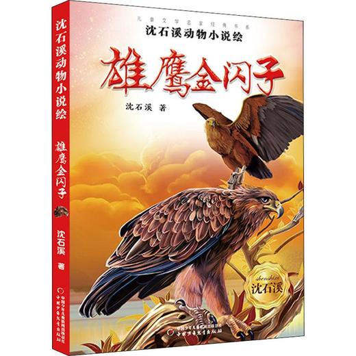 沈石溪动物小说绘雄鹰金闪子