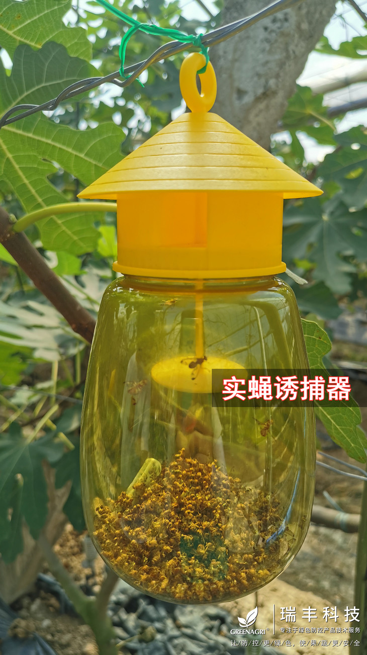 将引诱剂滴于垫芯或缓释棒上,配合实蝇诱捕器和农林害虫性诱测报设备