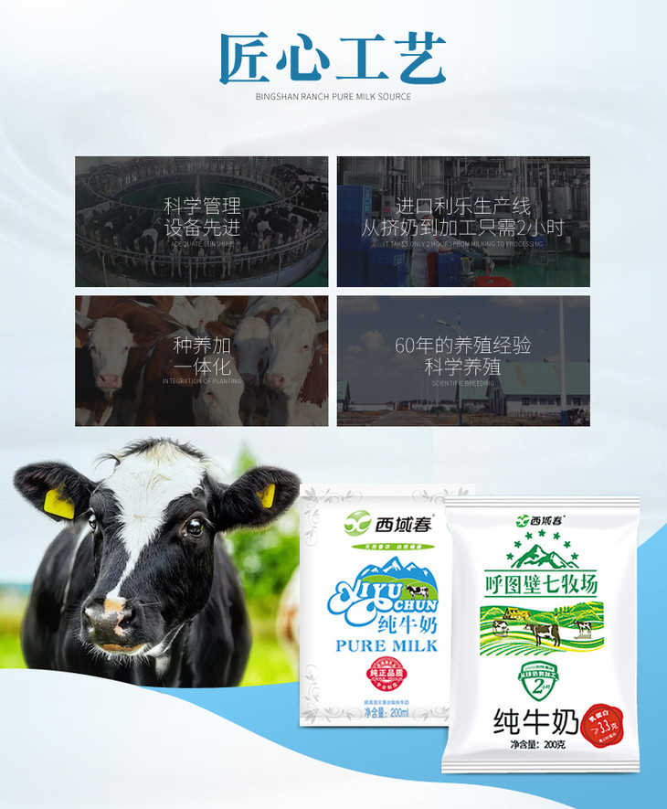 c西域春七牧场纯牛奶200ml12ms