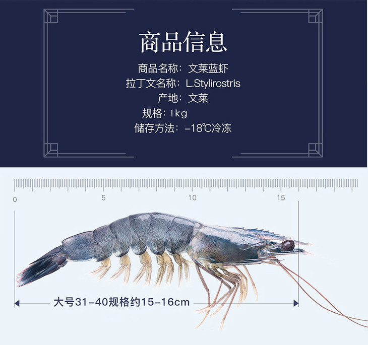 大洋世家冷冻文莱蓝虾1kg