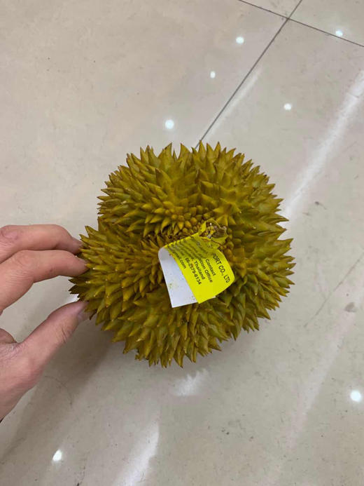 宏丰精选 泰国软金月榴莲