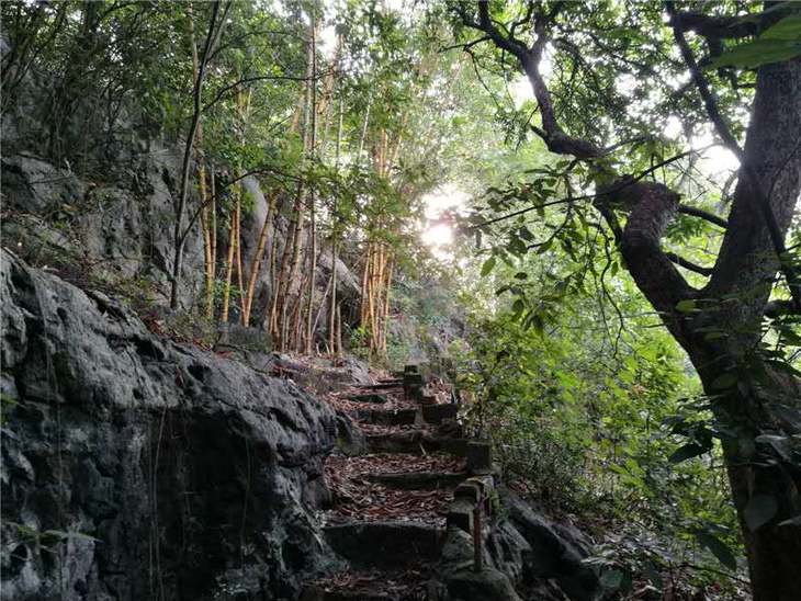 又名秀峰山,与伊岭岩遥相对望,旧《武缘县志》早就称之为武鸣八景之一